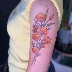 Meet your Posher, Brigette